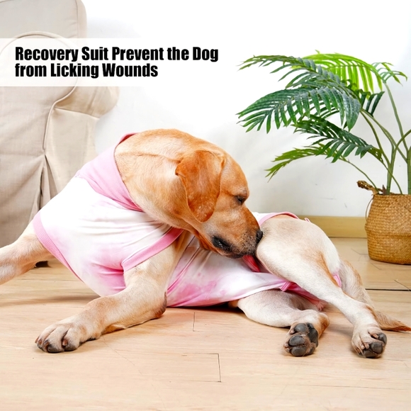 Small Pet Recovery Bodysuit / Onesie After Surgery / Wounds / Anti-Licking - Picture 2 of 10
